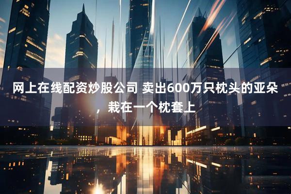 网上在线配资炒股公司 卖出600万只枕头的亚朵，栽在一个枕套上