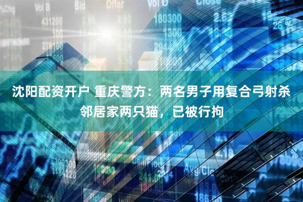 沈阳配资开户 重庆警方：两名男子用复合弓射杀邻居家两只猫，已被行拘