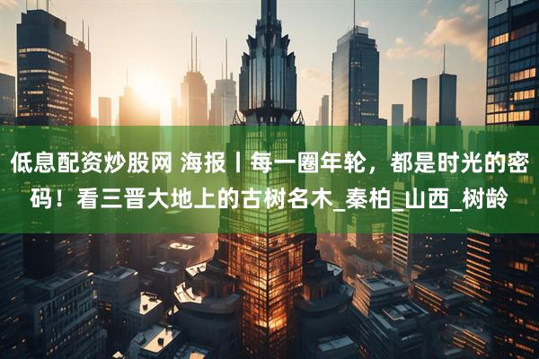 低息配资炒股网 海报丨每一圈年轮，都是时光的密码！看三晋大地上的古树名木_秦柏_山西_树龄