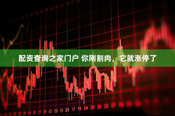 配资查询之家门户 你刚割肉,它就涨停了